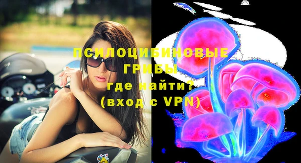 трава Туринск
