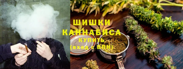 трава Туринск