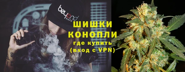 трава Туринск